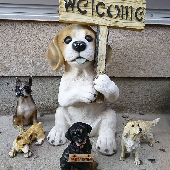 E5c0a2d7 eca9 4e34 85b2 3aef5b3d65c9 1523436490087