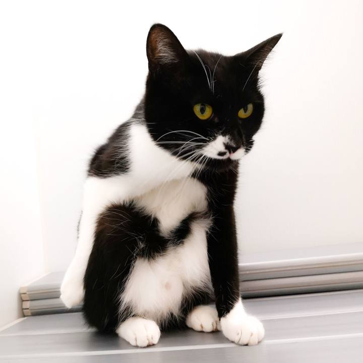 E5c0a6bd ac9e 43d7 aa17 02acb44590cd 1550764994571