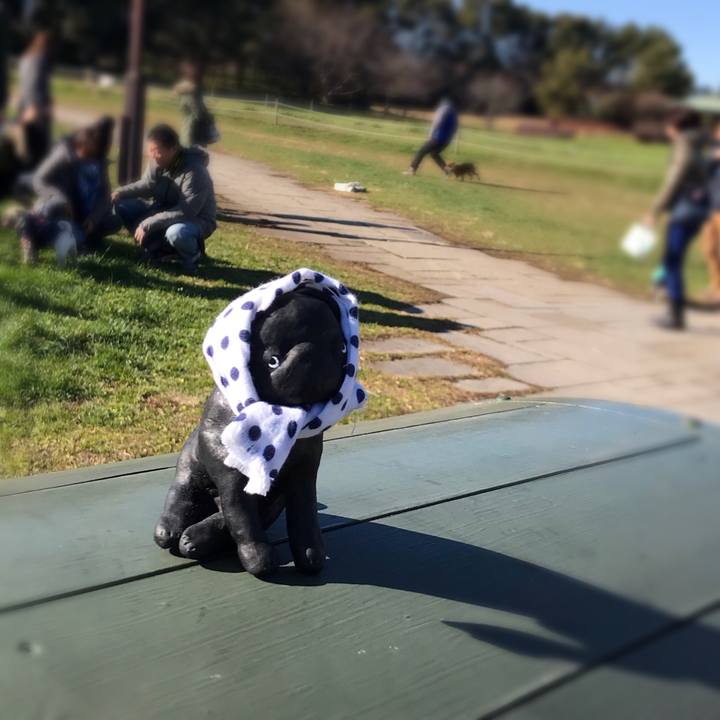 E5c0b889 f9a6 4545 8925 c2c5485cec64 1546079635588