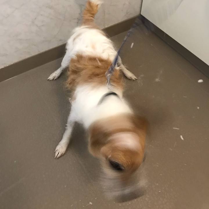 E5c0dabc 8243 46cf be23 e999f7ef415f 1559625890113