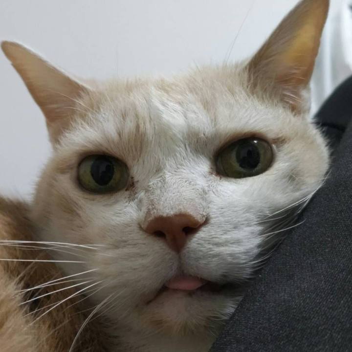 E5c114a3 ad10 4d80 ab13 9a601cc6f265 1701037648275