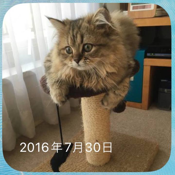 E5c114b6 a05e 43e3 91d2 eaa0811f742a 1722506943512