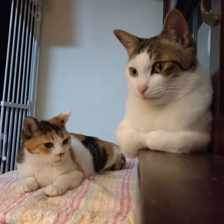 E5c12792 2962 4cc2 b2b1 12ebdaa38daa 1717590063909