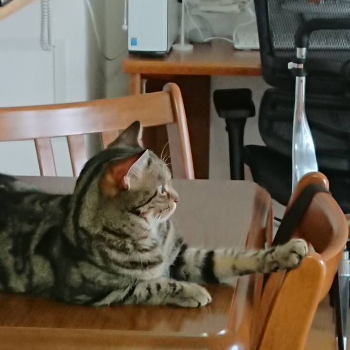 E5c1290c 307c 4e6a 9e18 0fdd263c2061 1559956177607