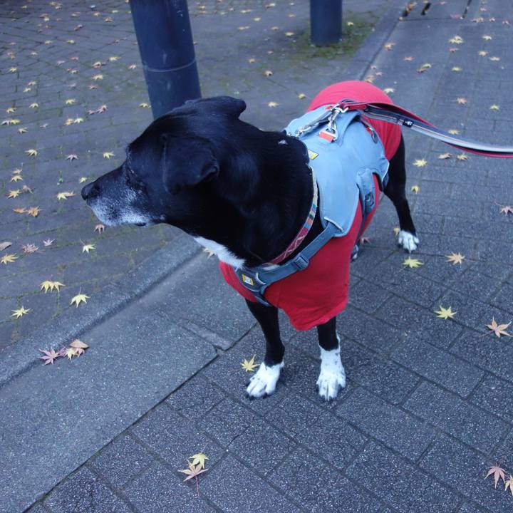 E5c1470c c712 4da0 98e7 bc7046ab9e6a 1734567474906