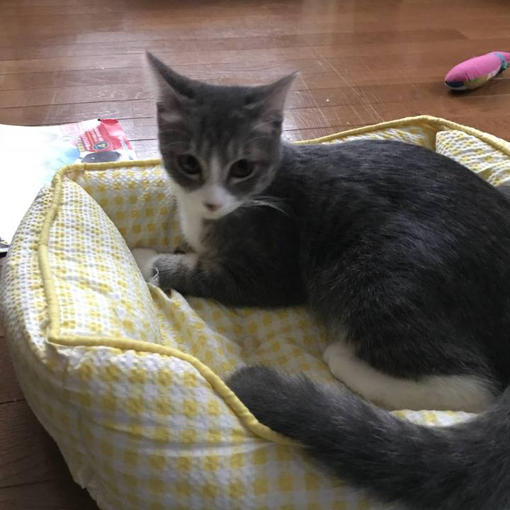 E5c185d8 1138 4dd4 bfa4 1acbc6860df9 1536701694150