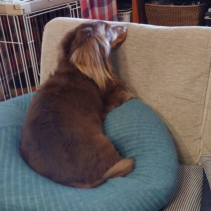 E5c19775 bf33 4a04 823b 1423cf48fb87 1631322323262