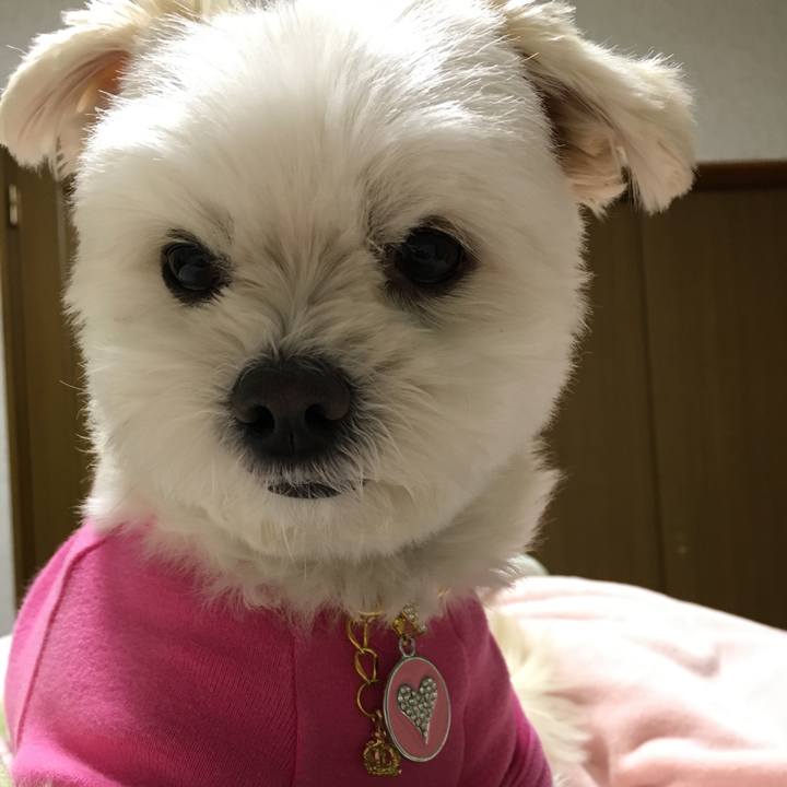 E5c1debc c270 4374 a47e 47ffebf20f90 1518171457077