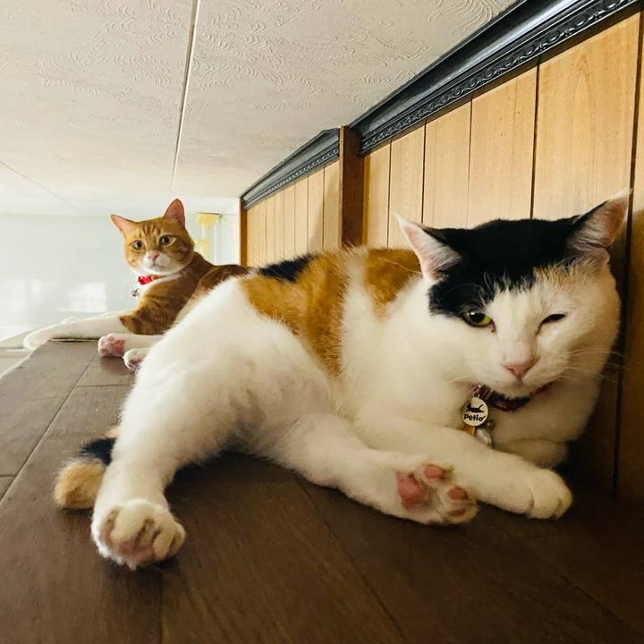 E5c1fbba 42f6 47a5 a94e 77df0b9f9f96 1716734696856