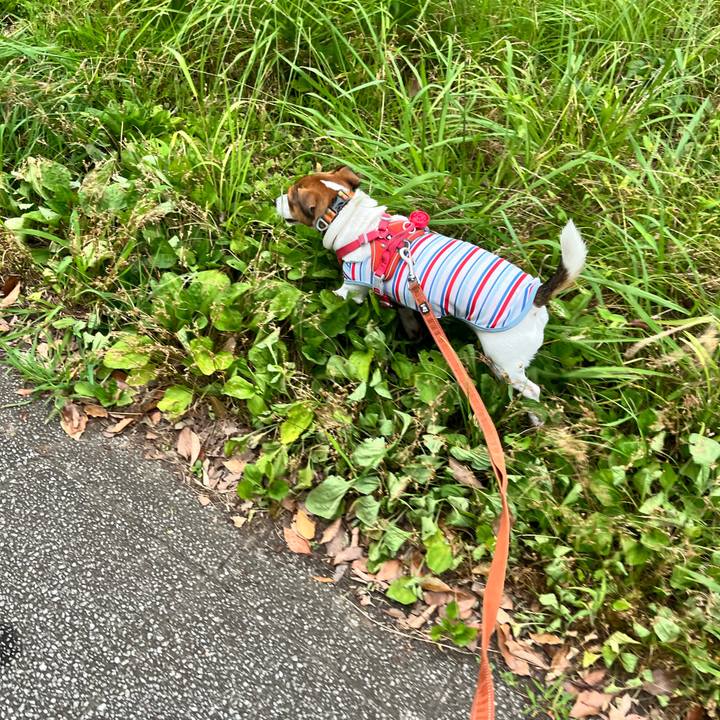 E5c25be0 b24c 44cd 9d01 40f218812890 1722383702985