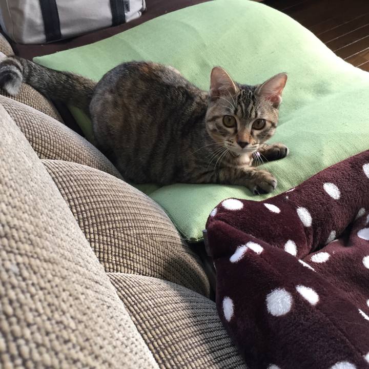 E5c26467 8ae0 4969 a8e5 5df71a0d36d5 1572836772698