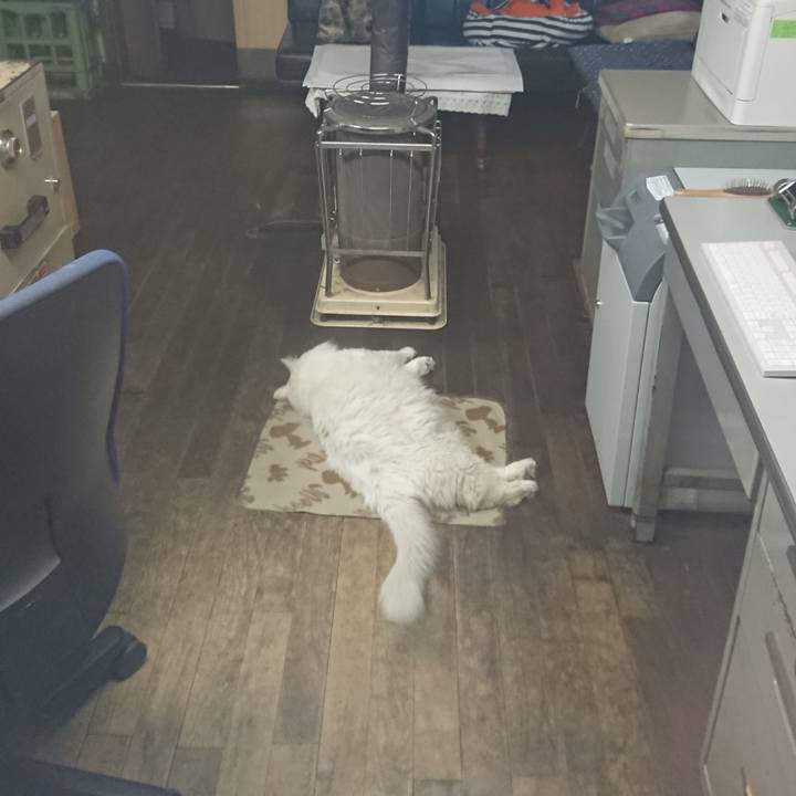 E5c27723 91bf 46c9 96b2 2034c5b10f12 1542666282576