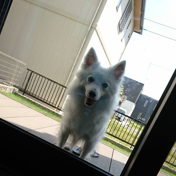 E5c29d3c bad7 4028 ac31 5a91679ab7a6 1526099022969