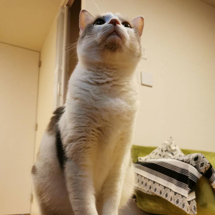 E5c2a444 58b3 4cc4 bd1f c7611b014c82 1677308629981