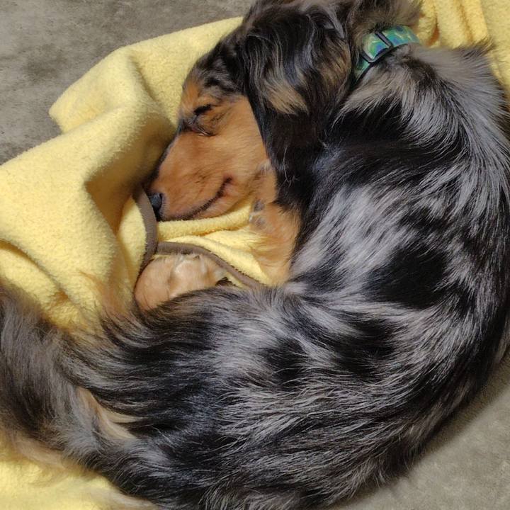 E5c2b219 6409 41ff 961a daeb9a8a9525 1719142615910