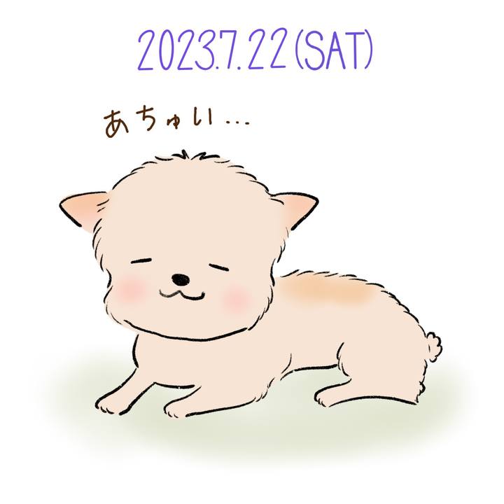 E5c2b2a2 0290 4734 b8dc 38000f0bb656 1690033512143