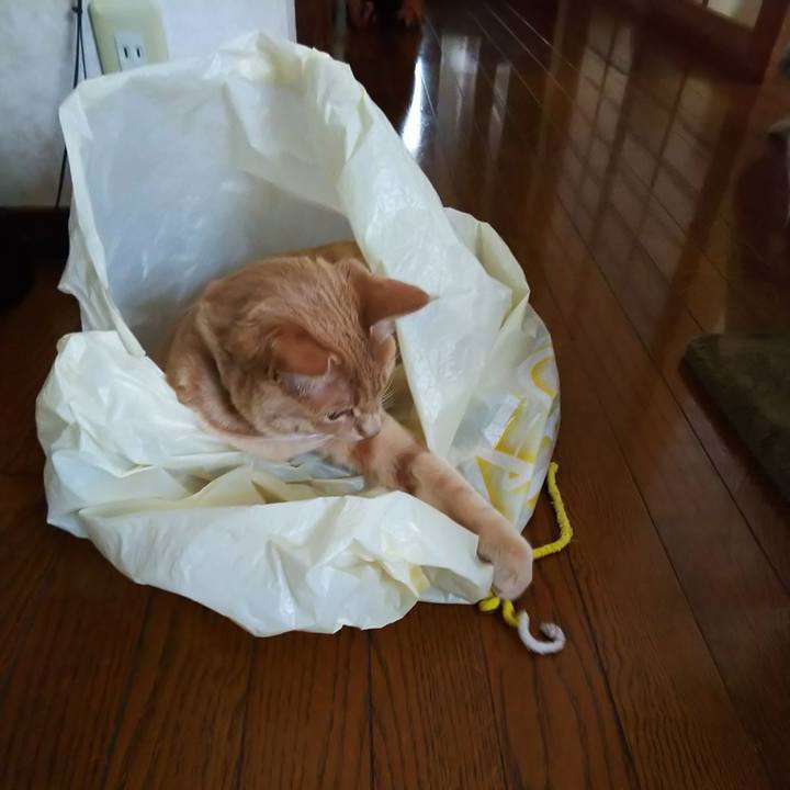 E5c2e611 cc90 4e55 b7a2 a5ee09ff044f 1558408029229