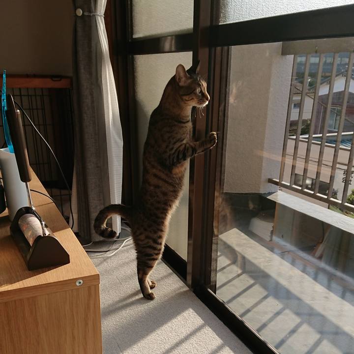 E5c2f124 9522 4429 96c8 bf15e96d671f 1518937255935