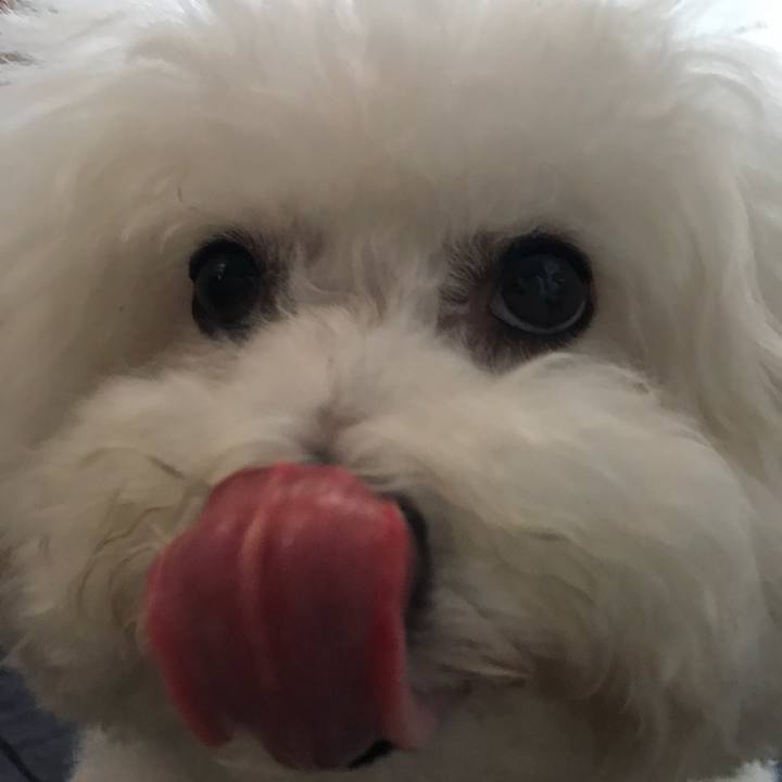 E5c2fece fbbf 4b59 8c39 d9e200da67b1 1558650457440