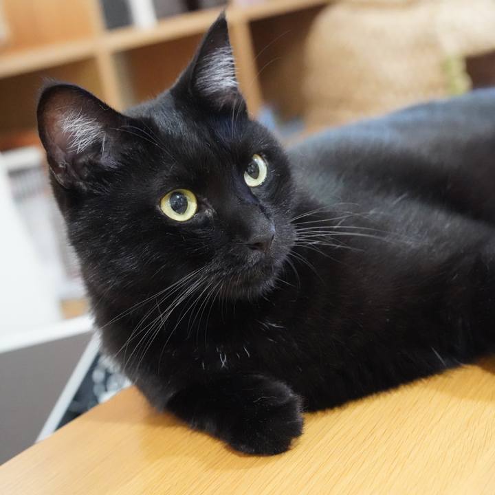 E5c325e7 fd38 4617 84a7 fac75139f471 1566950039032