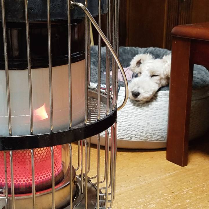 E5c34700 842d 4691 8d77 b70d9c00698d 1546869194651