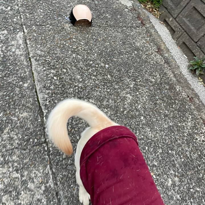 E5c34999 eba7 4ce4 9774 a672d30afb5e 1642763620359