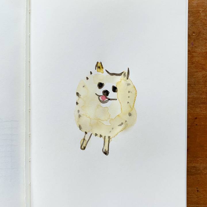 E5c37516 3138 462b 85f3 326ab36d8ad2 1598929928105