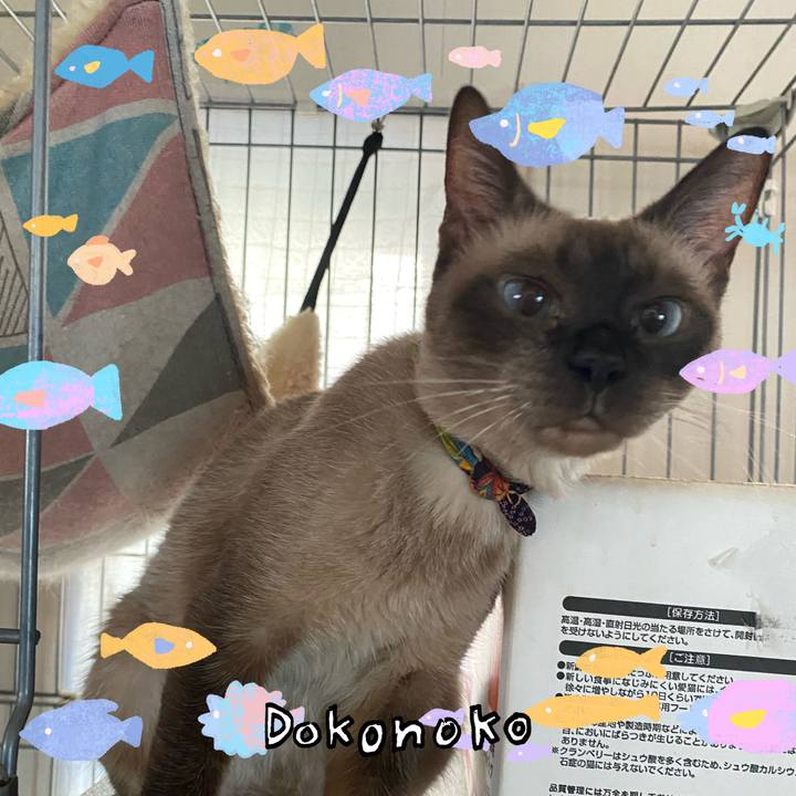 E5c3813d 3ae8 42f5 b4e6 8db78872bc2e 1755128326946