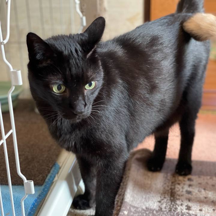 E5c3923c d6e5 4363 833b cd1bef784515 1623636712986