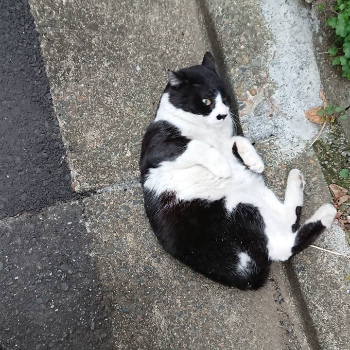 E5c3a1e2 c42b 40f3 a90d f735f5a5fbb8 1550013888521