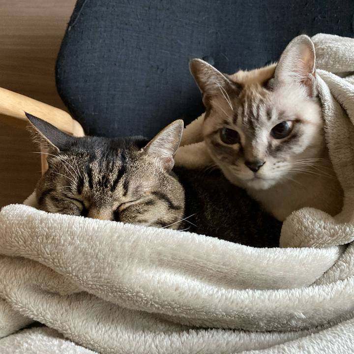 E5c3adec a75d 4c62 8b8a 87d2273b0c3c 1670889576575