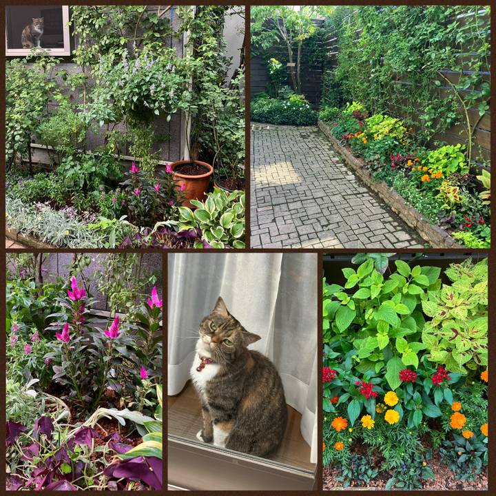 E5c3b218 0439 49a6 b4ba 94a4c621a052 1759048185147