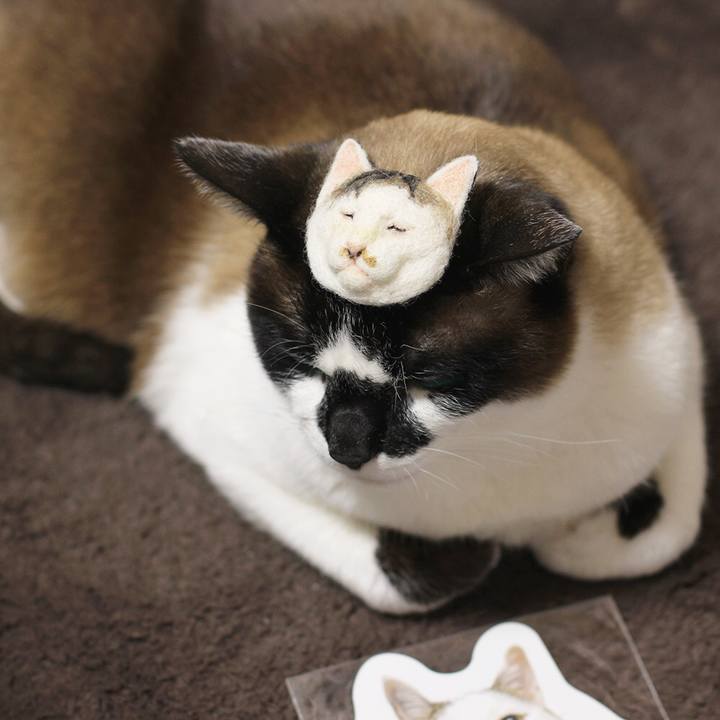 E5c40d84 f947 4fde a25f 0df745181eca 1521802933361