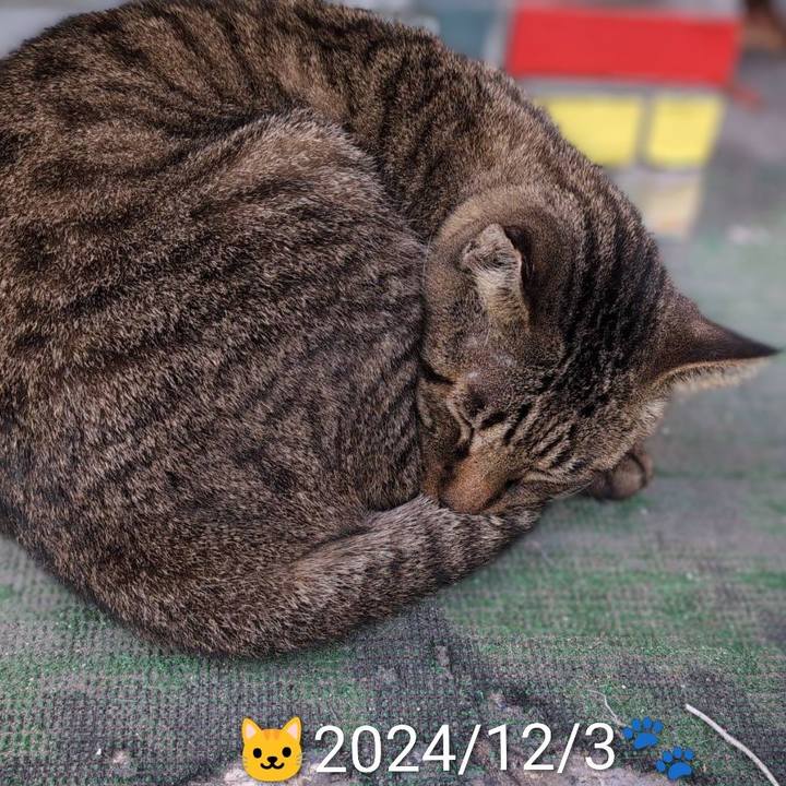 E5c4149e 4fc0 4742 83bb b4b71bba5cda 1765891413403