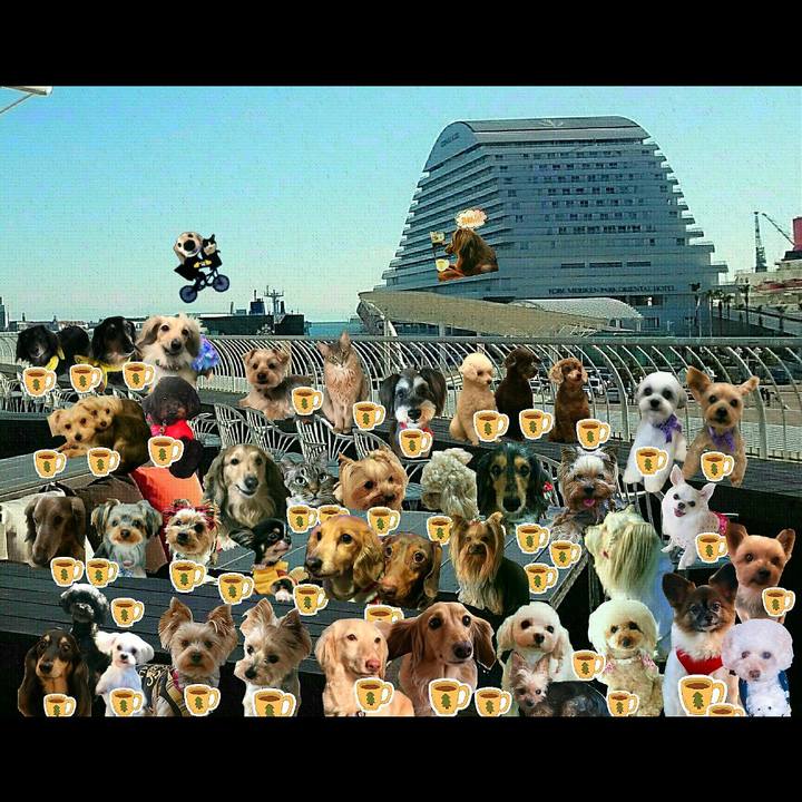 E5c44e37 6b8a 41f6 befe aa1821057802 1516159123195