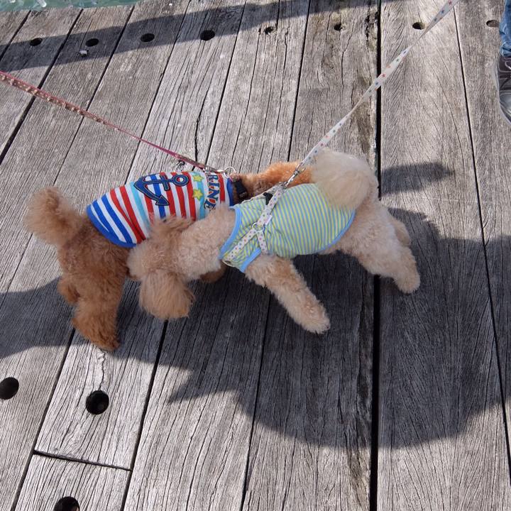 E5c474d2 5c2e 4d11 8e08 5683d50f29d4 1541103670870