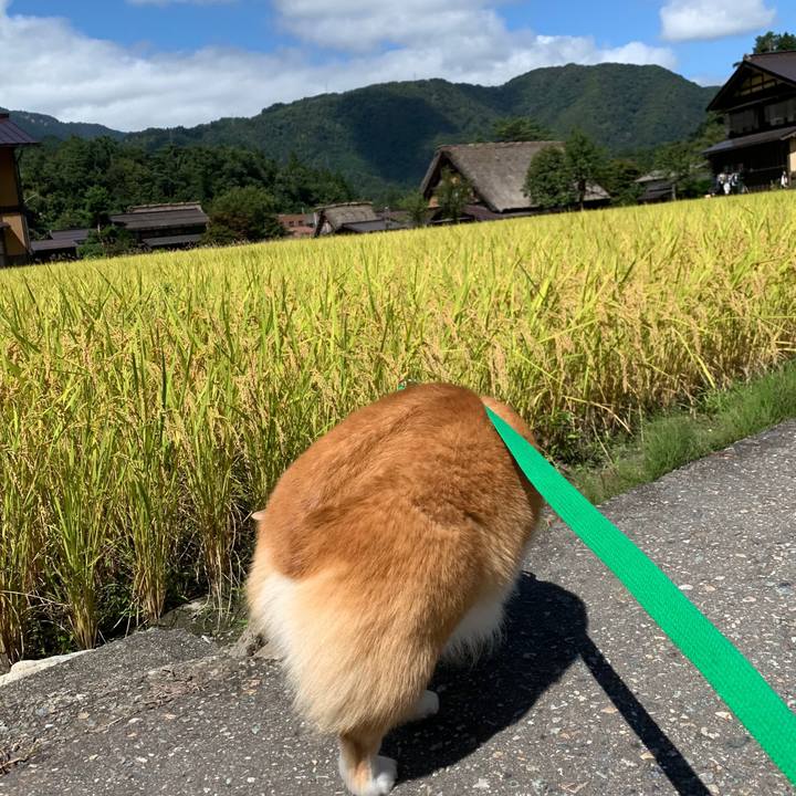 E5c4e3d9 bdf3 4d0a 8e50 6887888f84eb 1569038984861