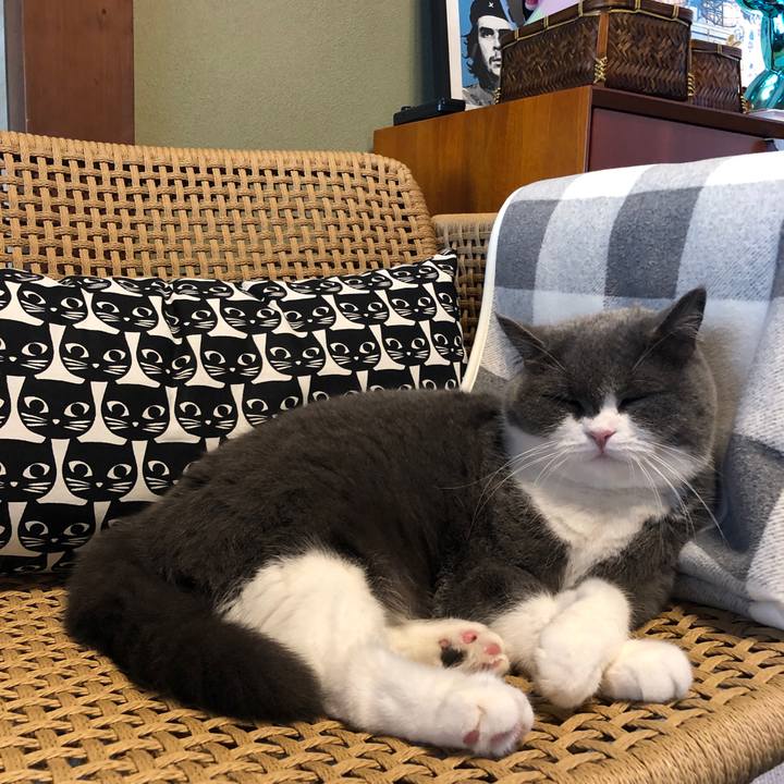 E5c4f37b af13 47d3 80ff 75db9e7e21a3 1577091890065