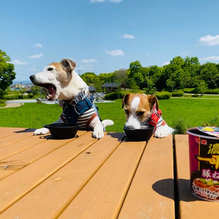 E5c5114b 85b5 4a3d 8638 5ca6a09af593 1651553805347