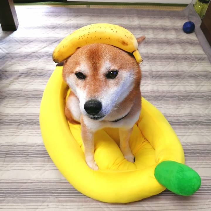 E5c53248 d9dc 4ec9 acb2 a5a4b86700ad 1658115745310