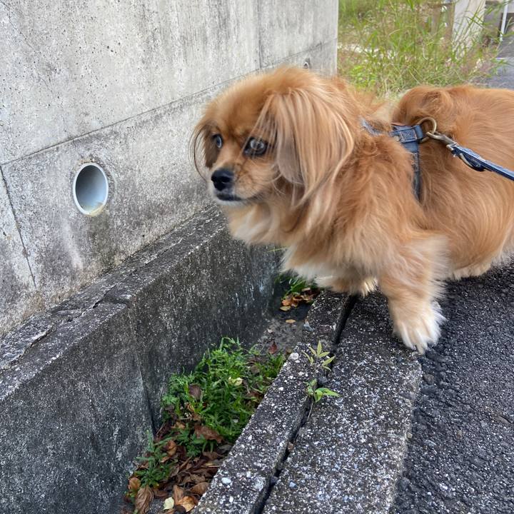 E5c53ad9 ecdd 426a 8505 248f375f6954 1633125198847