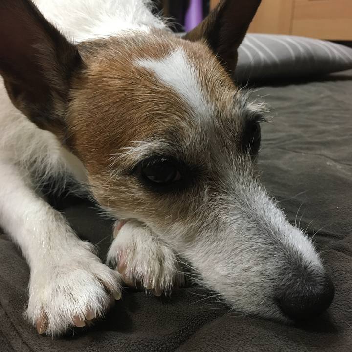 E5c5a629 32b0 4363 908a 6dfb54fb4d58 1631926902622