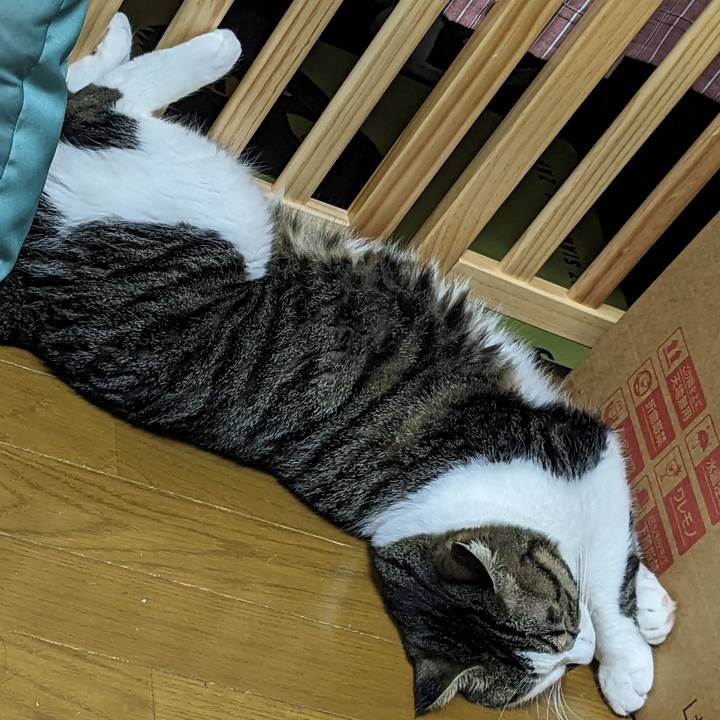 E5c5c1e4 986c 492a 87fd 2f4e58594c98 1688993258269