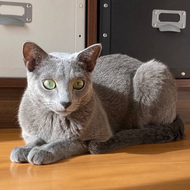 E5c5cf86 bc47 4160 bc99 98559096c213 1639872920107