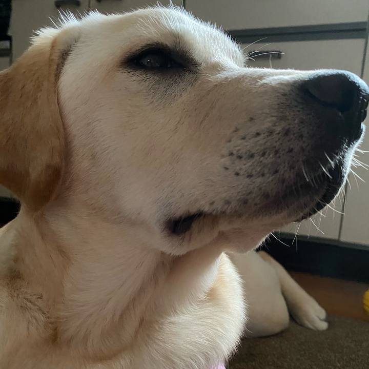 E5c5da9b 4d30 491e a8c3 408ab48ae068 1618696606516