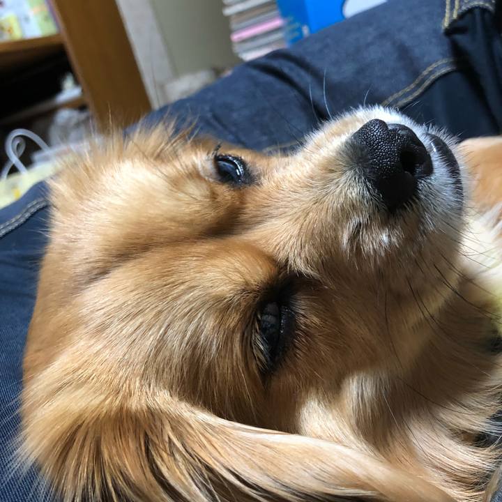 E5c63c5b 78df 4430 beaa 6bab227e5c88 1522450474118