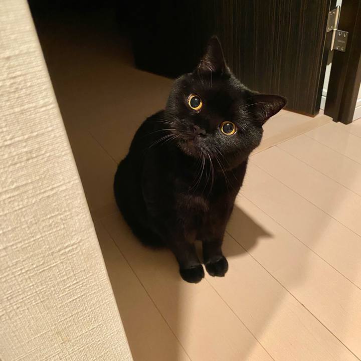 E5c64a7e 8db4 410f a4d5 35b237062f95 1691416367691