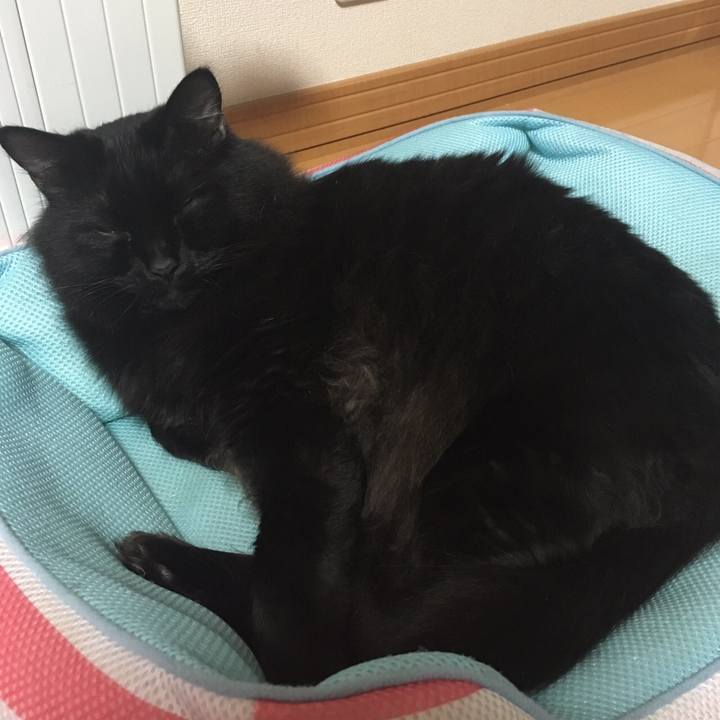 E5c64b42 80f7 4605 8c51 67df72d50401 1510941587284