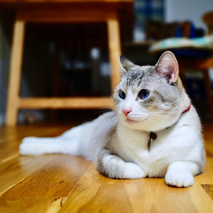 E5c64e3f ae3d 4d2a 80af f927170806bd 1598266157715