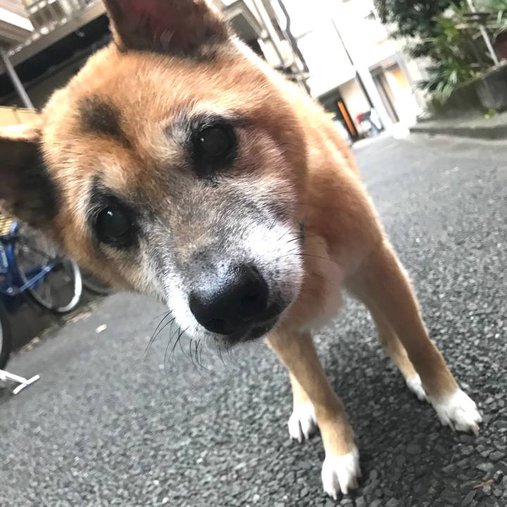 E5c691bc 185b 4683 be0a 34a52f9c91cf 1543876513082